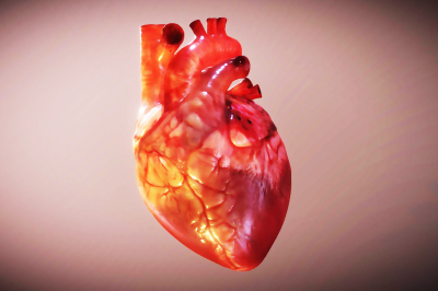 Apa Penyebab Sakit Jantung?